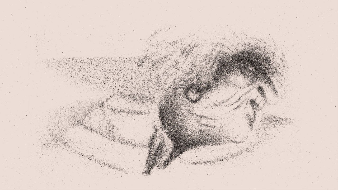 Chloé Van Herzeele backdrop