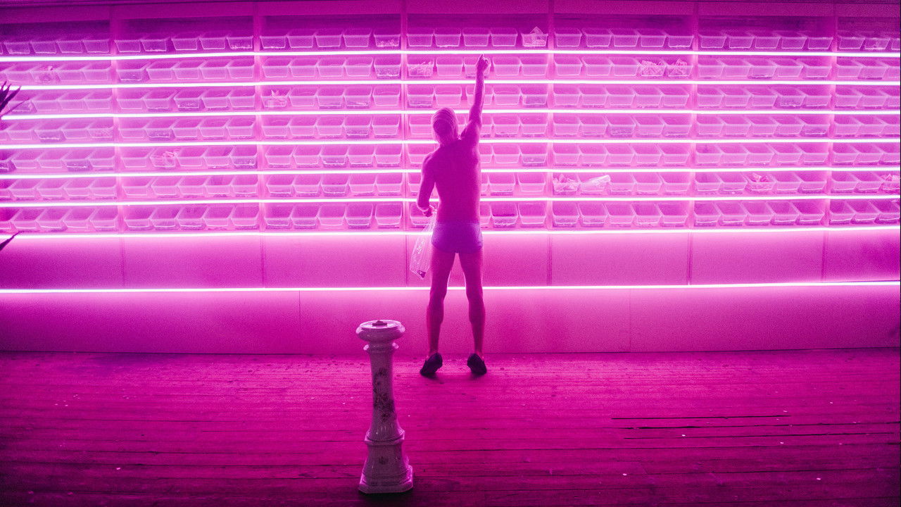 The Monkey and the Mouth backdrop