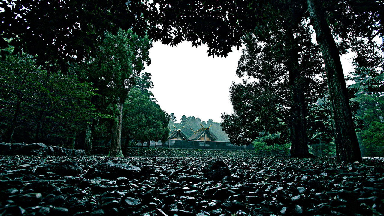 In Between Mountains and Oceans backdrop