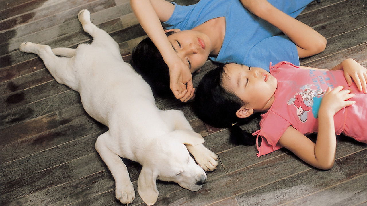 Hearty Paws backdrop