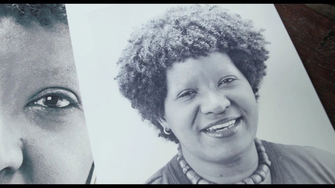 Em Busca de Lélia backdrop