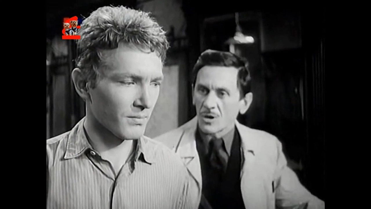 Saint Elizabeth Square backdrop