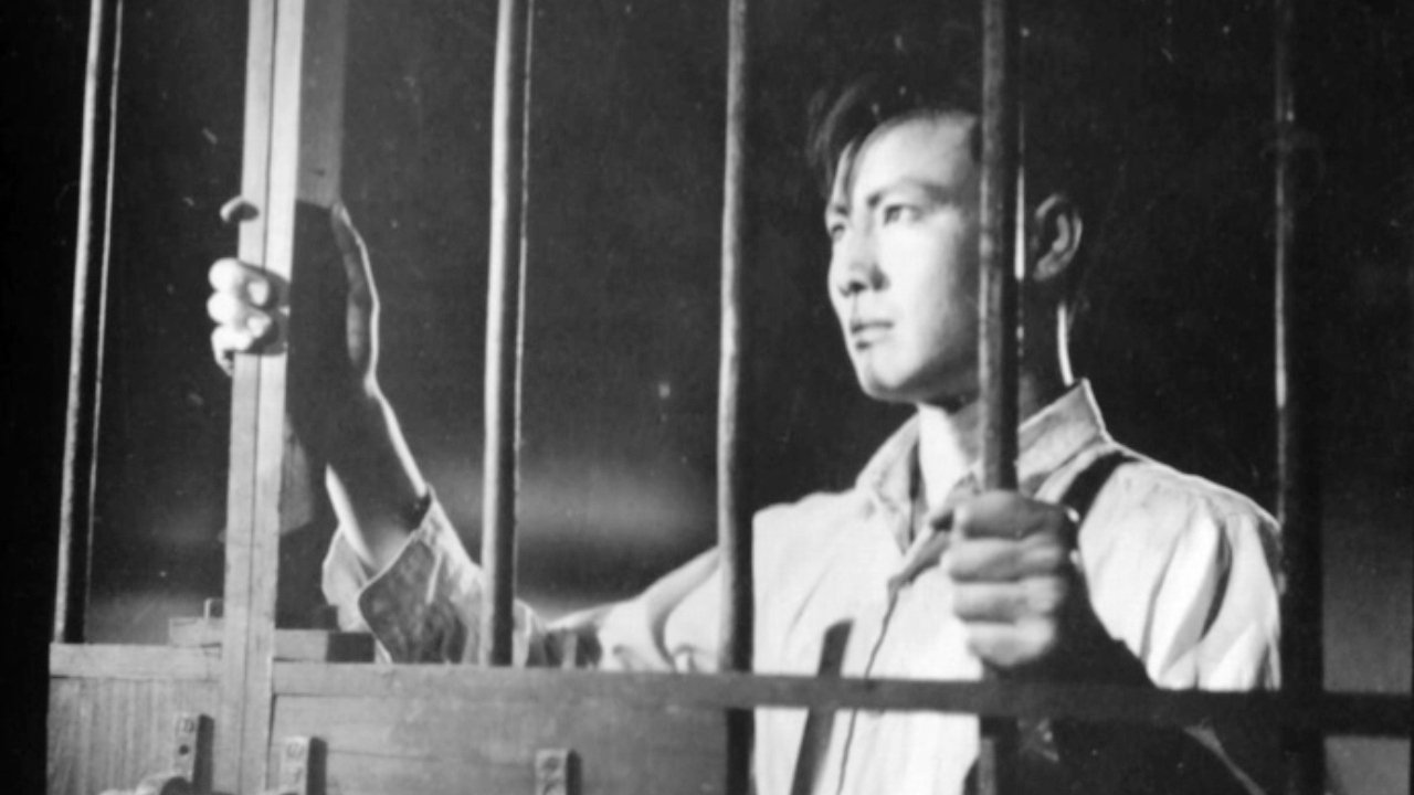 Iron Bars and Blazing Fire backdrop