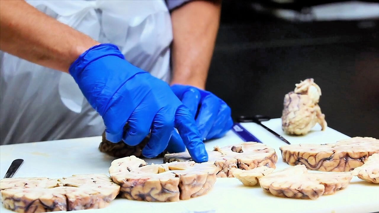 Monster in the Mind backdrop