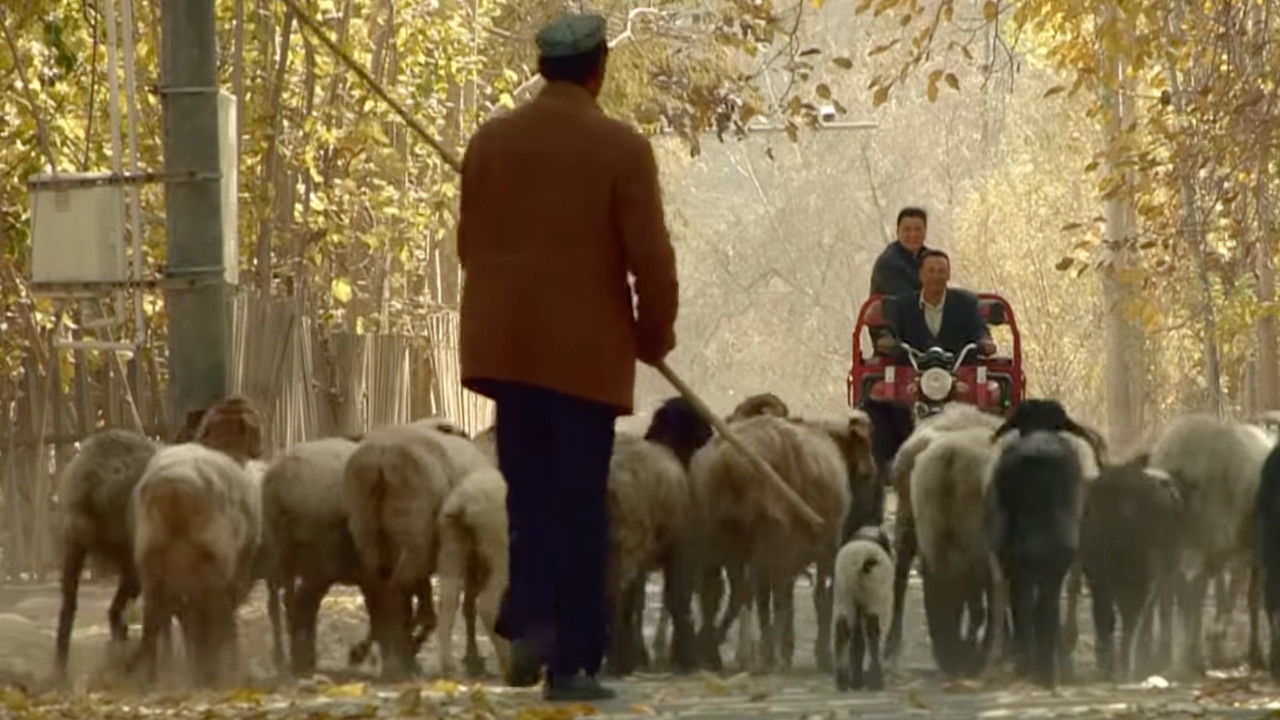 昆仑兄弟 backdrop