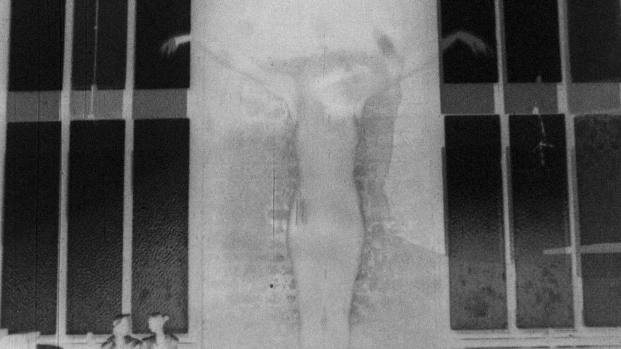 Safer Sexual Techniques in the Age of Mechanical Reproduction backdrop