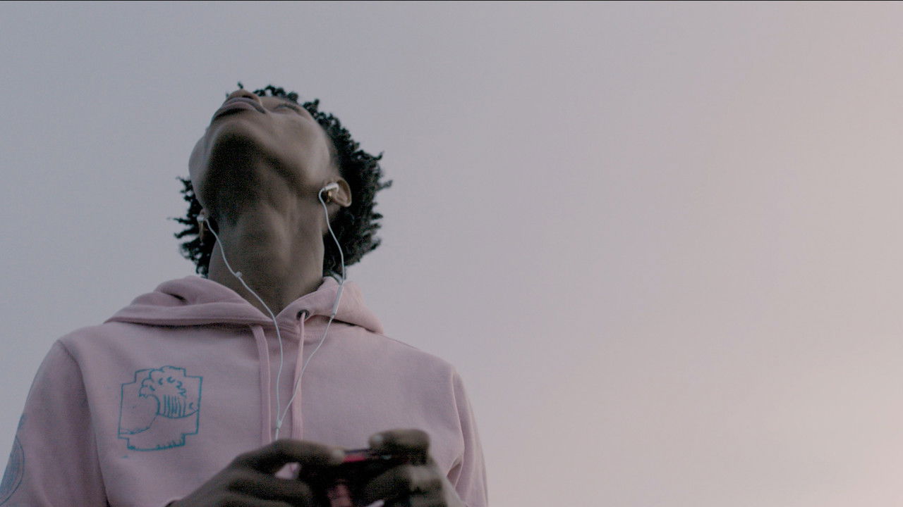 Summer Eclipse backdrop