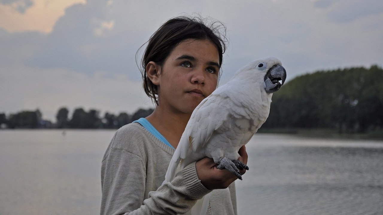 Above Us All backdrop