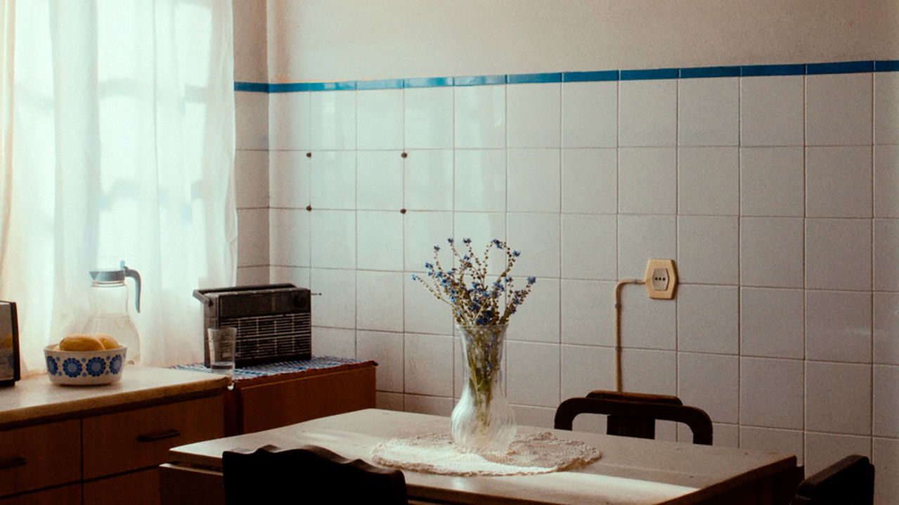 Light Was a Break backdrop