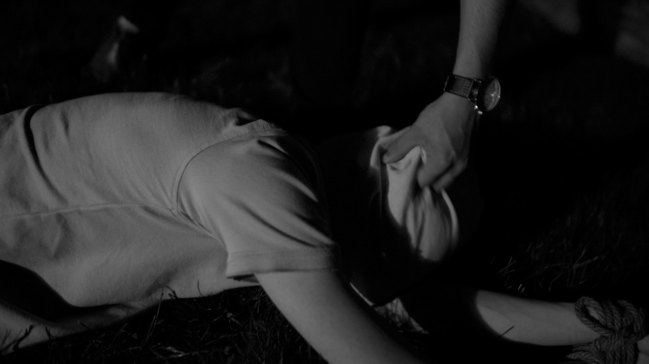 Finding Feathers backdrop