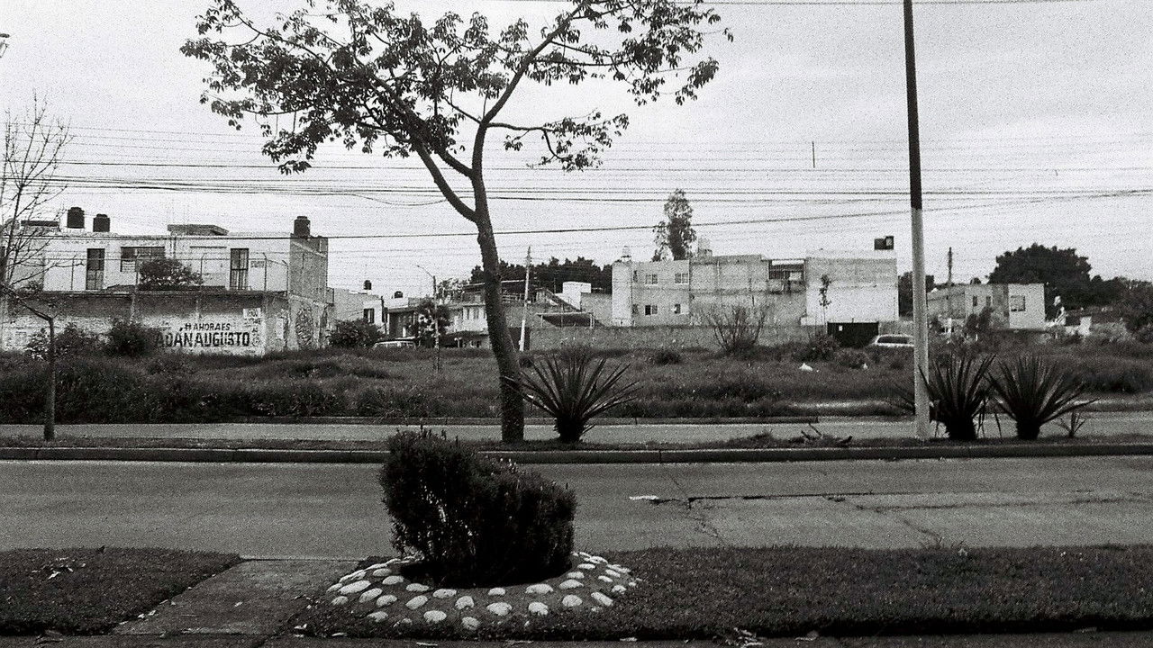 significantes, tres de cinco backdrop