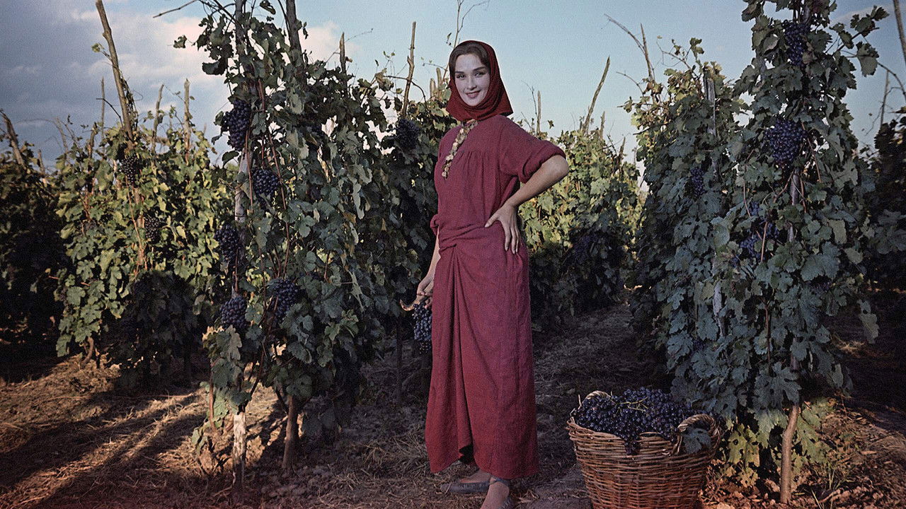 The Cossacks backdrop