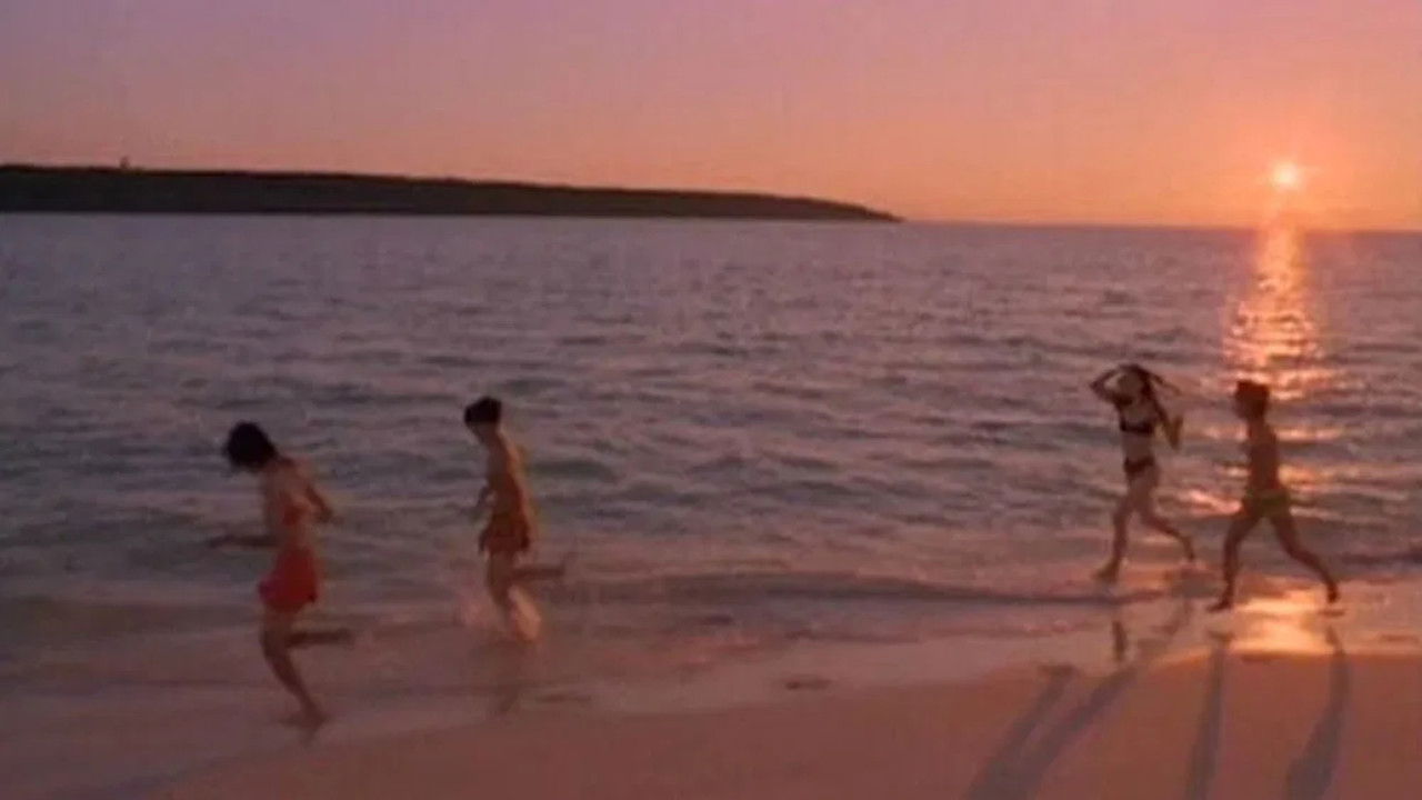 Document Love & Pop backdrop