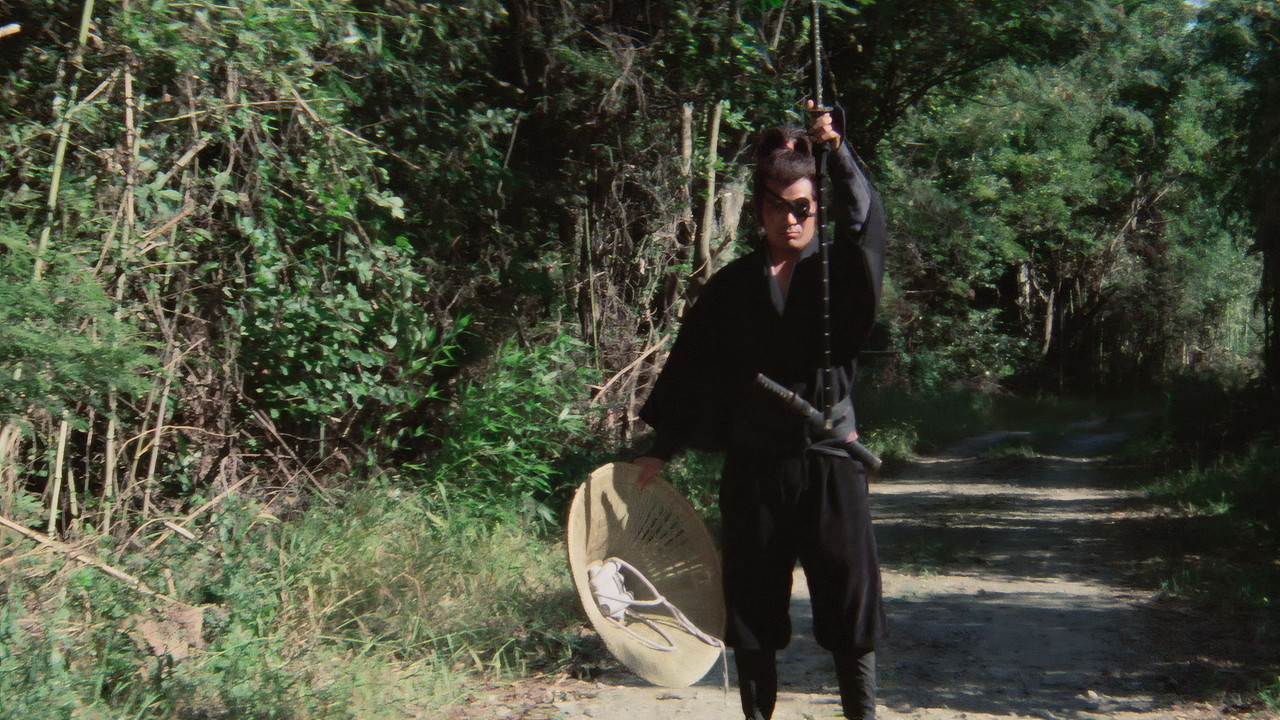 Shogun's Samurai backdrop