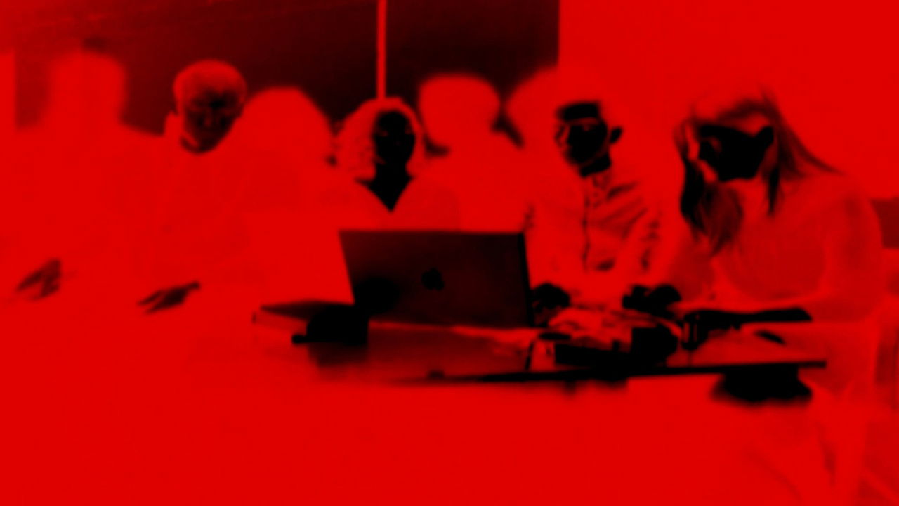 Saxifrages, Four White Nights backdrop