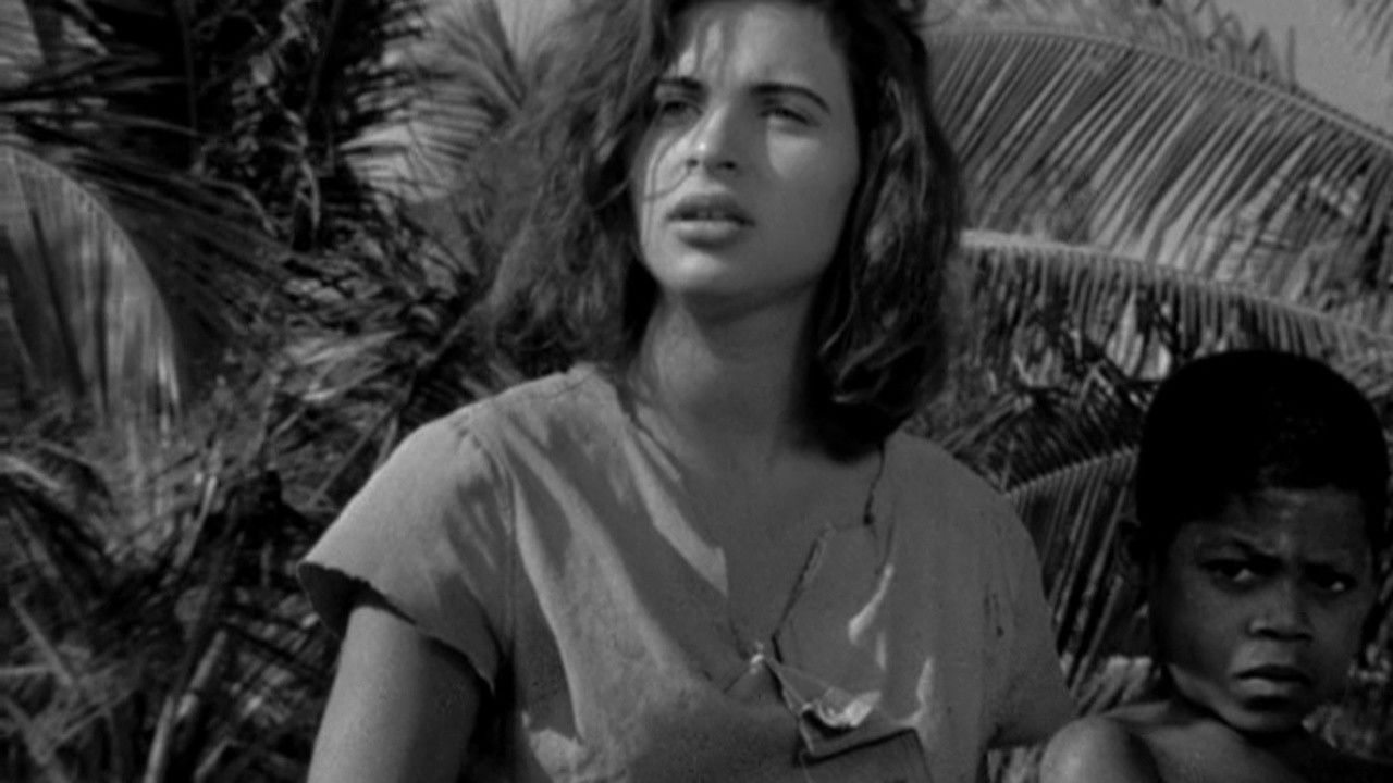 The Turning Wind backdrop