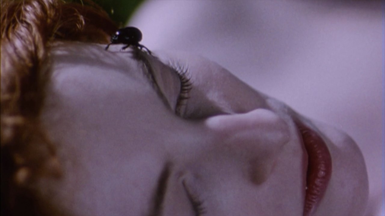 Belle de Nature backdrop