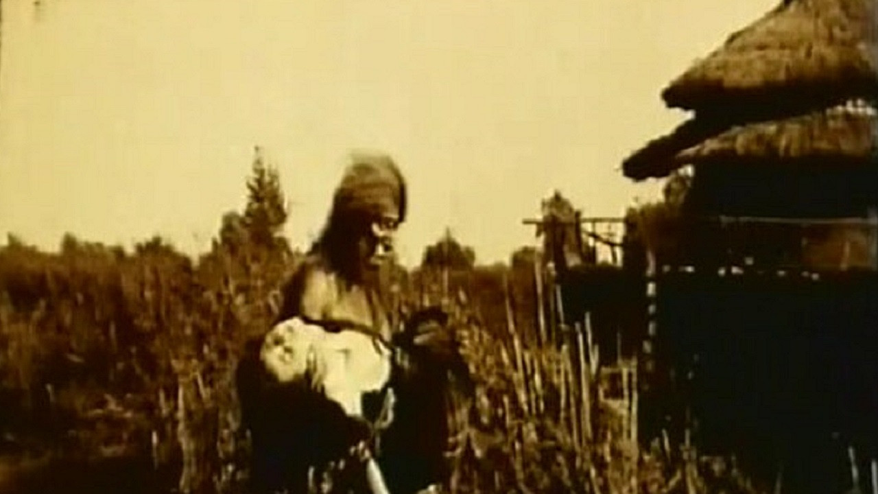 The Island of the Lost backdrop