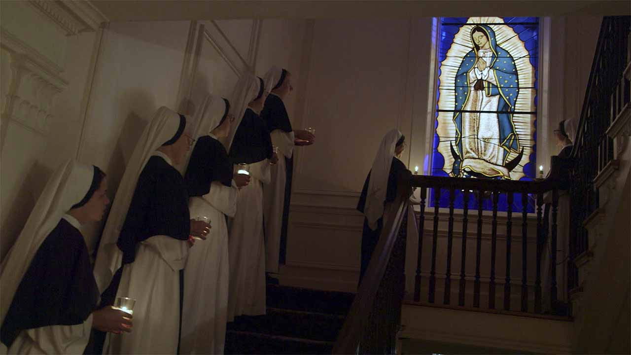 Guadalupe: el milagro y el mensaje backdrop