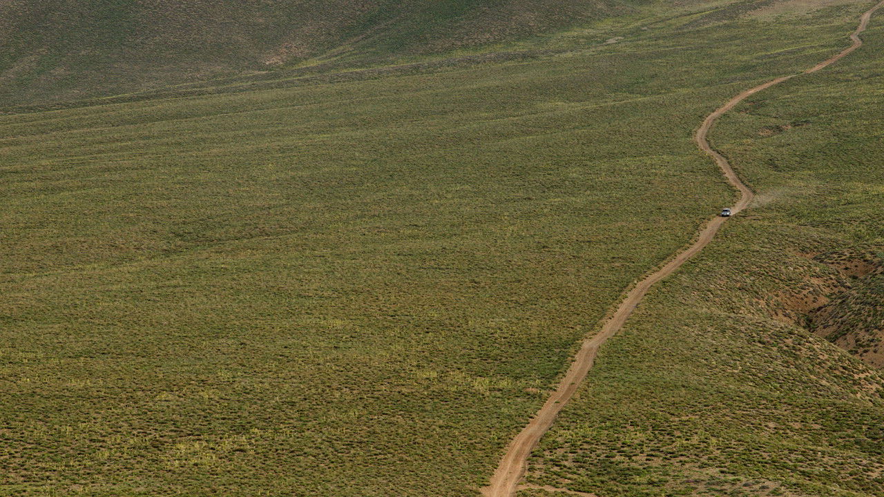 Without Permission backdrop