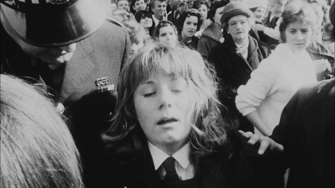 Tellement Fan - Les groupies contre-attaquent backdrop