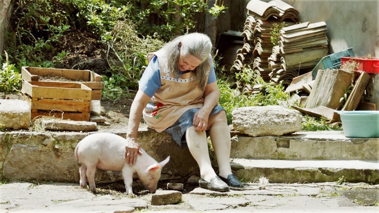 Esmeralda’s Twilight backdrop