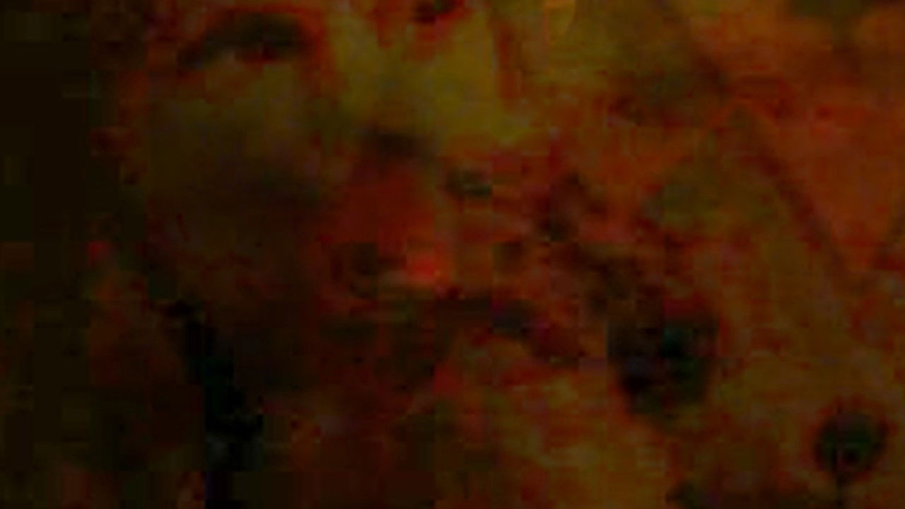 Dogs I Love, People I Love backdrop