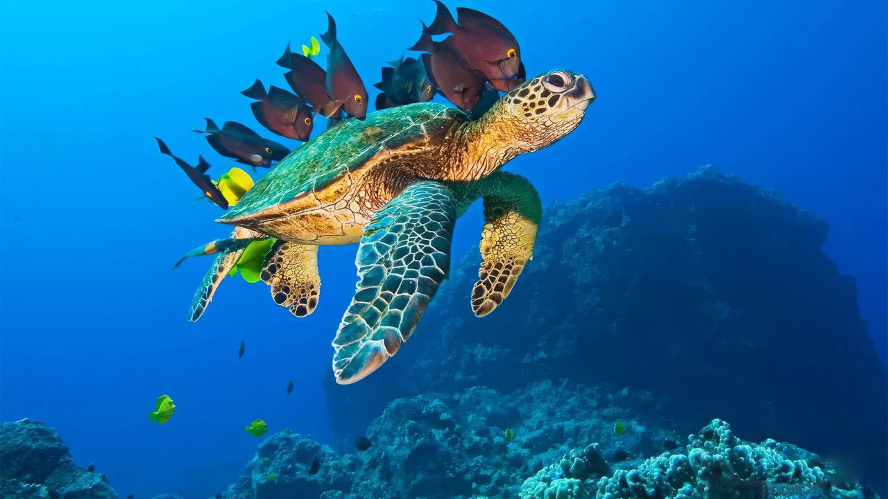 OceanWorld 3D backdrop