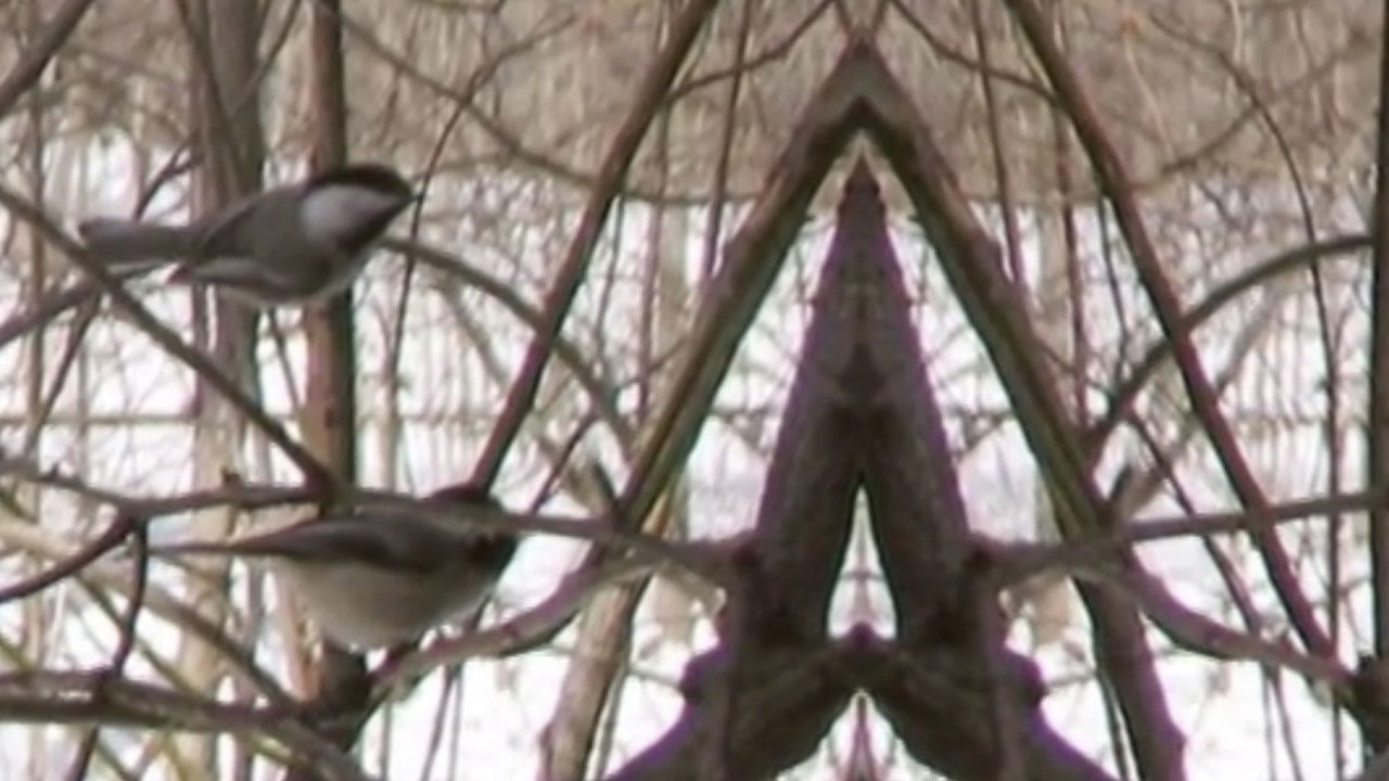 Songs of Praise for the Heart Beyond Cure backdrop