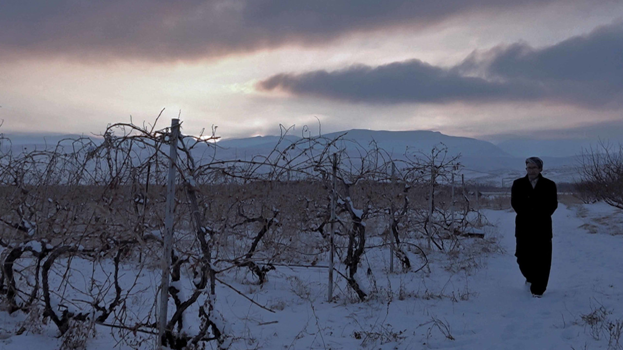 Taste of Water backdrop