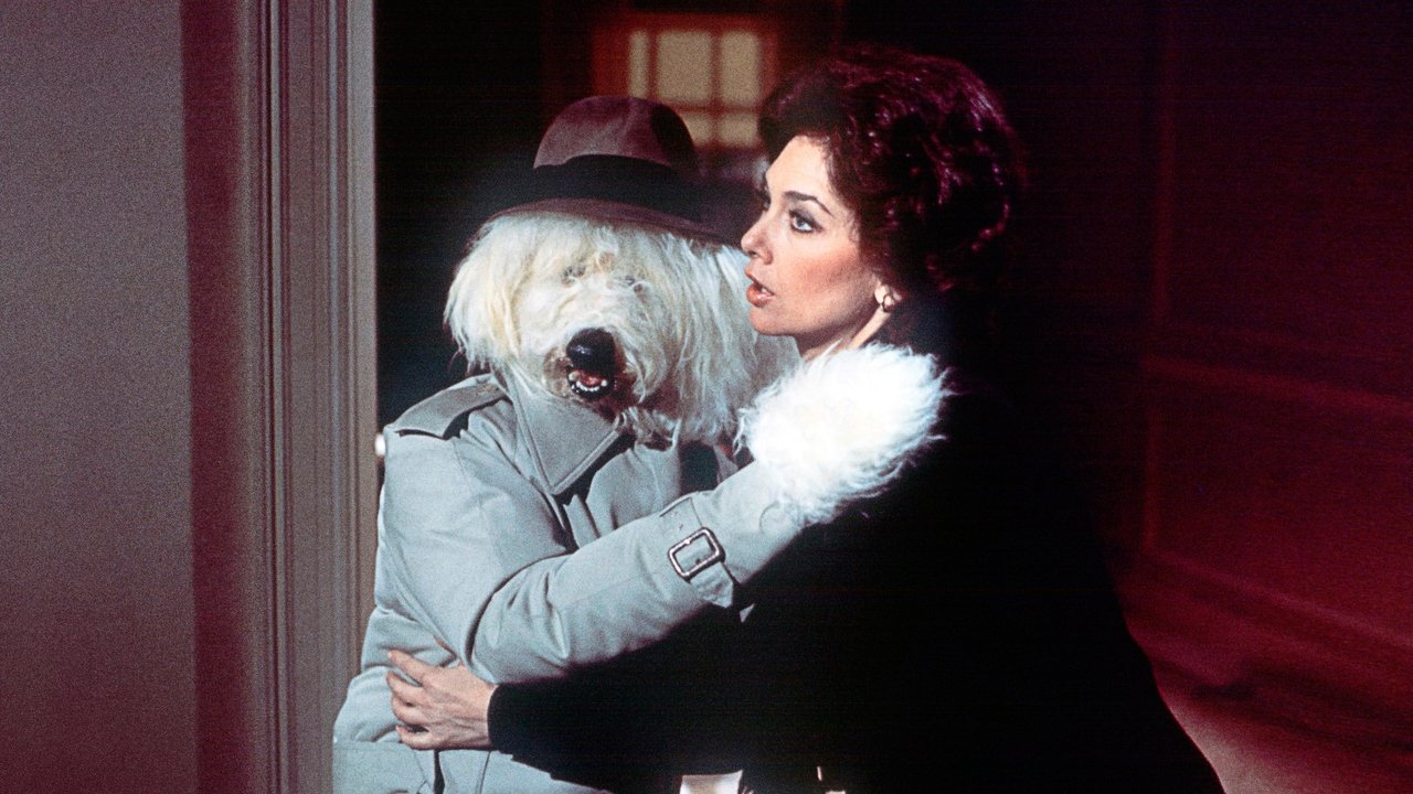 The Shaggy D.A. backdrop