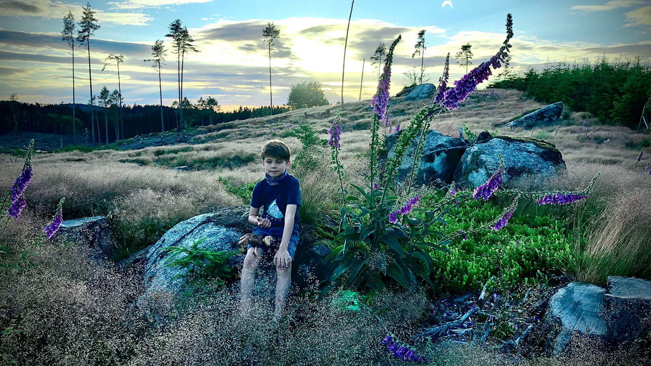 Sleeping City backdrop