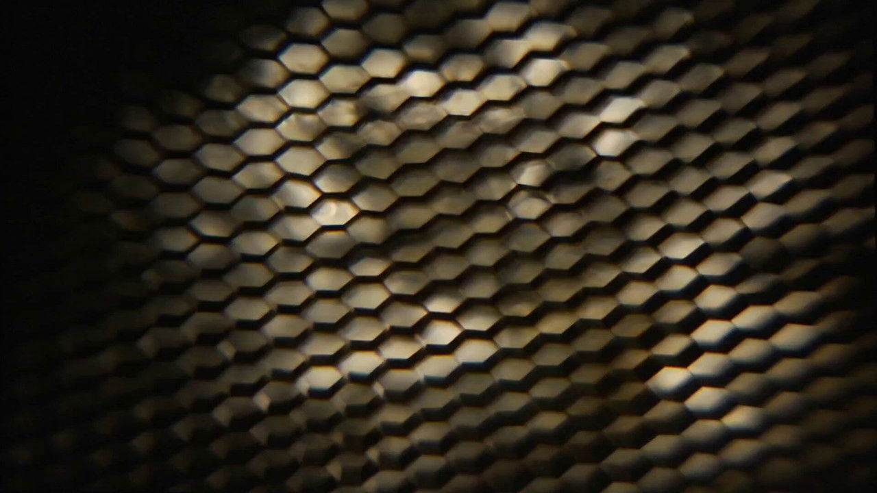 Movie That Invites Pausing backdrop