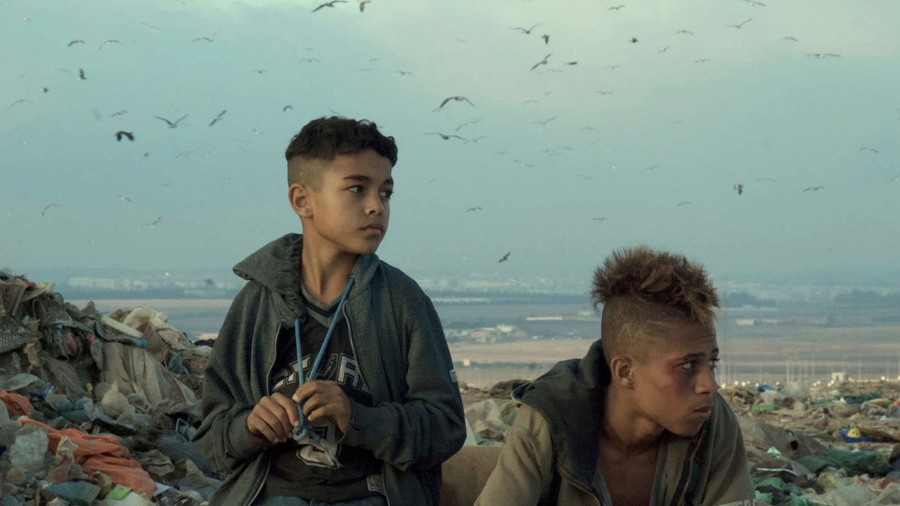 Final Round backdrop