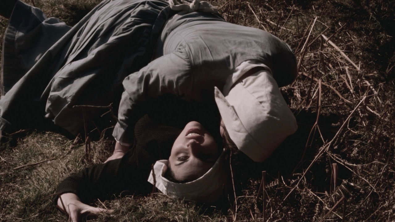 Some Reddish Work backdrop