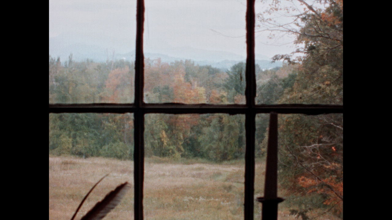 B for Bartleby backdrop