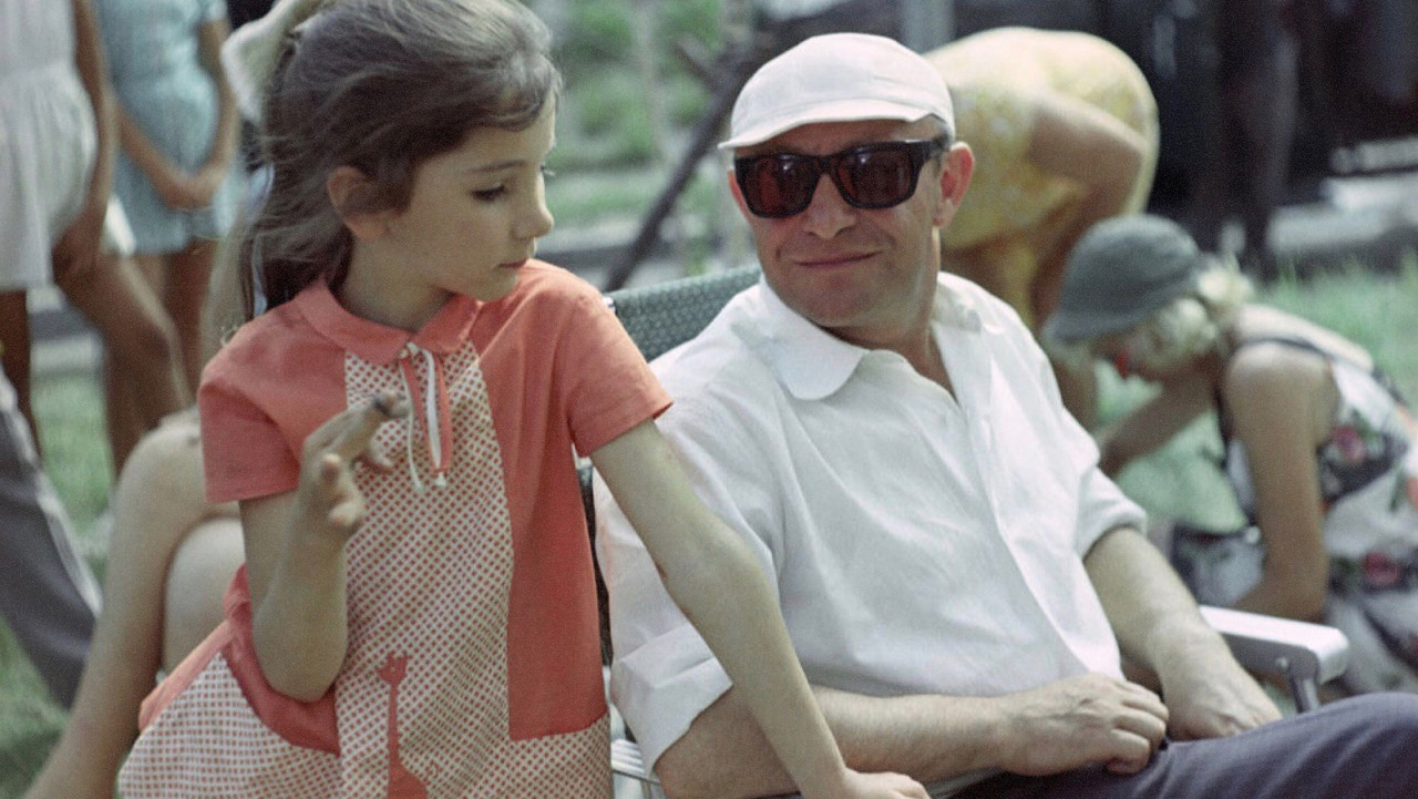 Attention, Turtle! backdrop