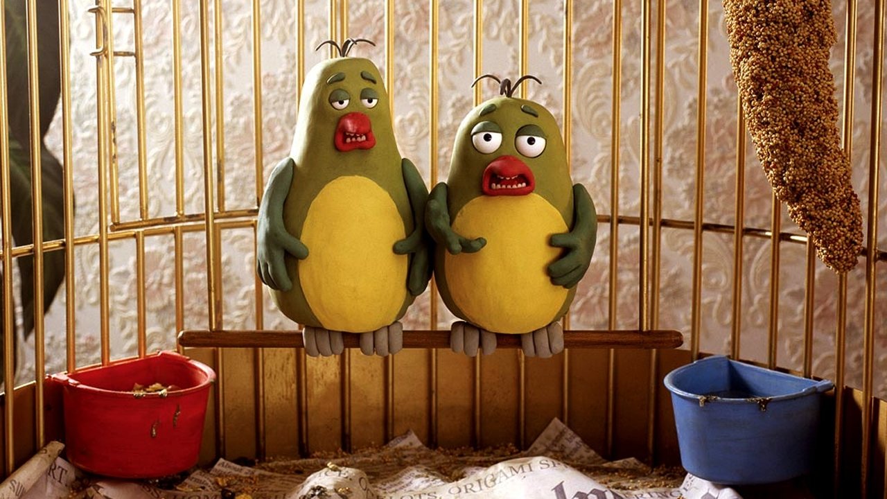 Creature Comforts backdrop