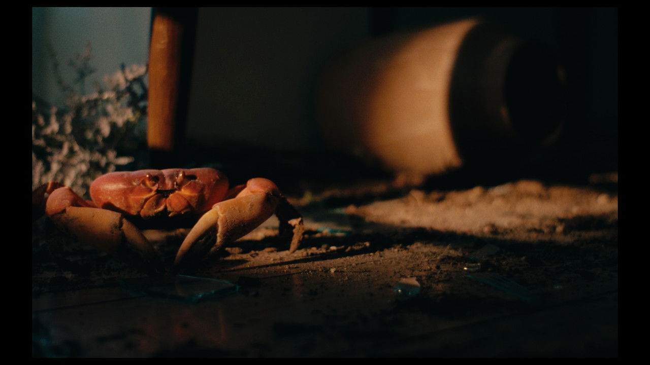 Crabs in the Air backdrop