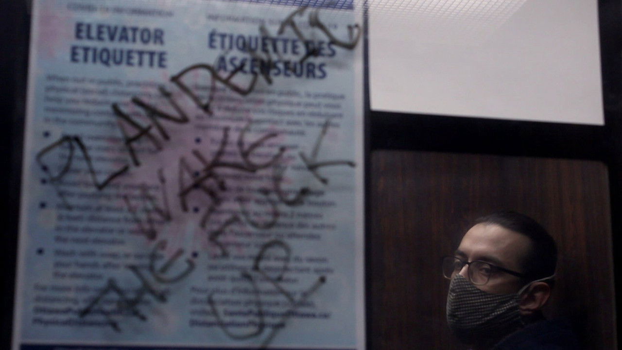 Belated Days backdrop