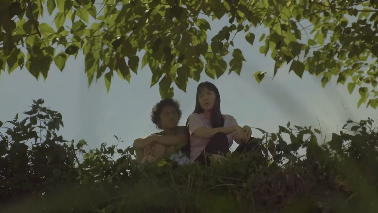 Sol Searching backdrop