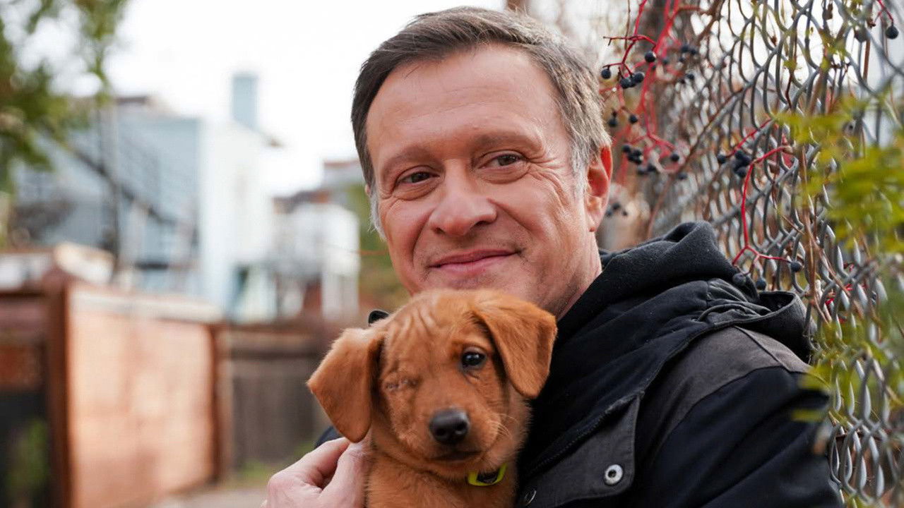 Refuge animal : Mission Aristopattes backdrop