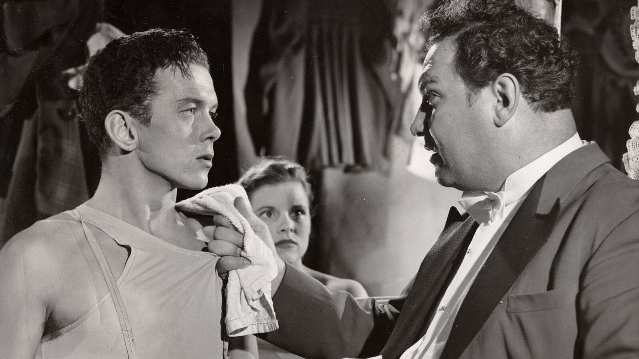 Cirkus Fandango backdrop