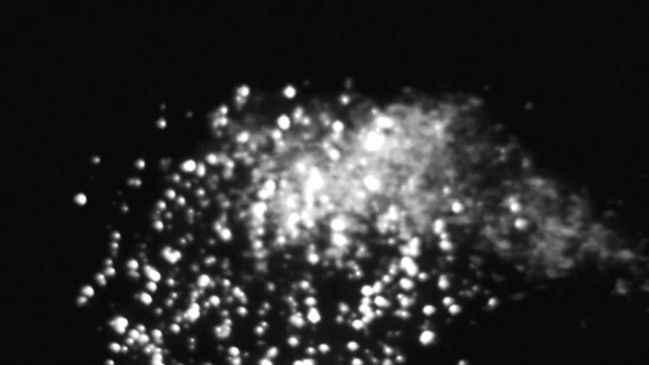 Waiting to Disappear backdrop