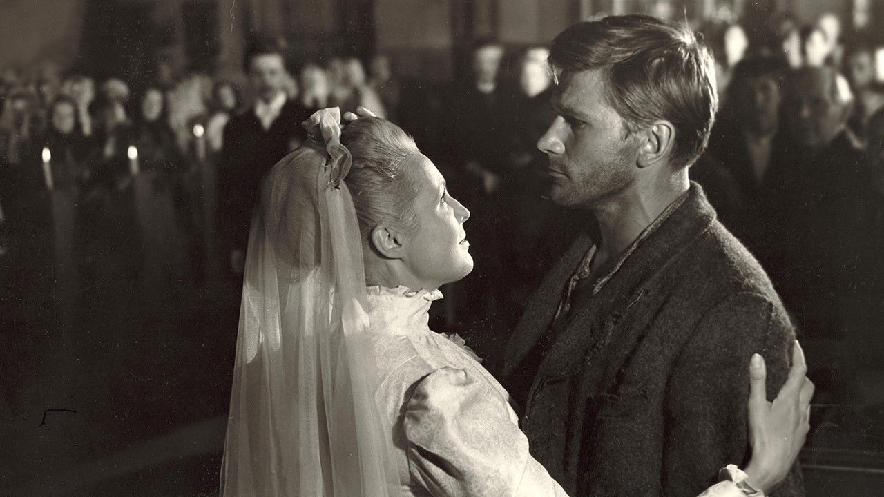 The Swamp Wader backdrop