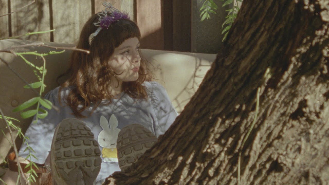 On Plains of Larger River & Woodlands backdrop