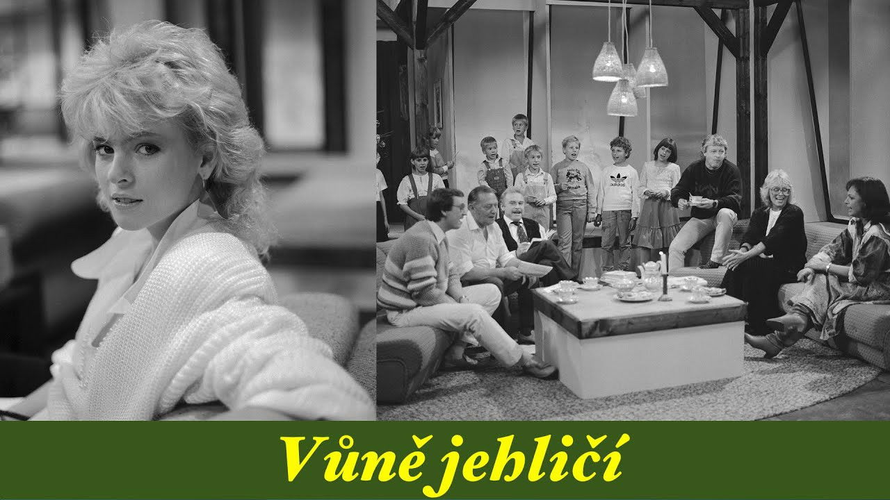 Vůně jehličí backdrop