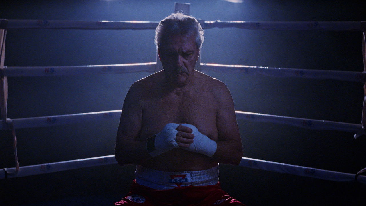 Soco a Soco backdrop