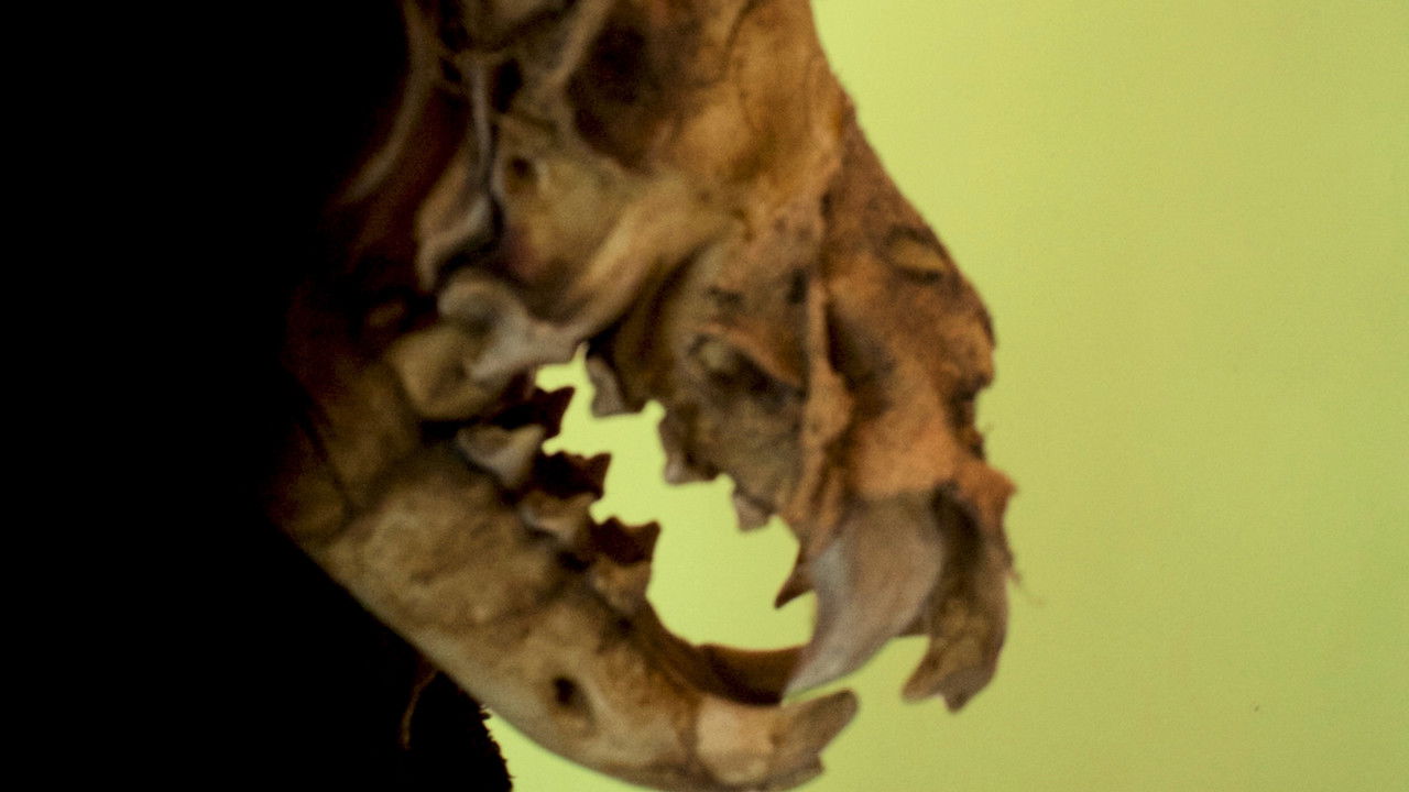 Painting of a Dog backdrop