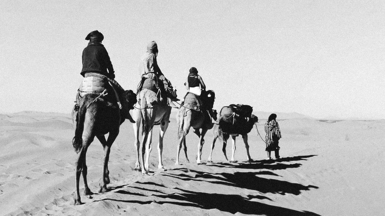 Guns of Freedom backdrop